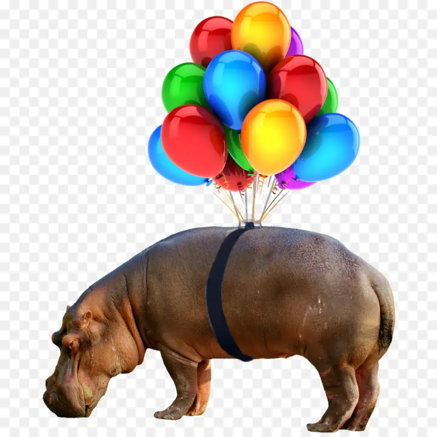 Globo，Cumpleaños PNG