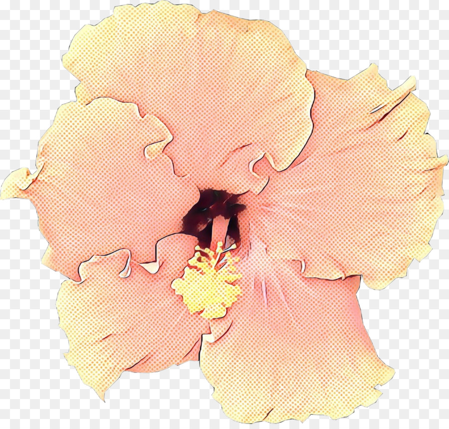 Flores De Hibisco，Naturaleza PNG