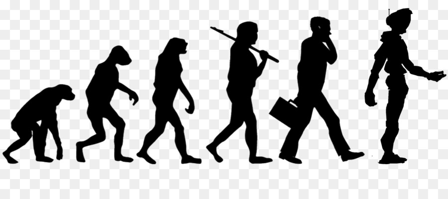 Evolución，La Evolución Humana PNG