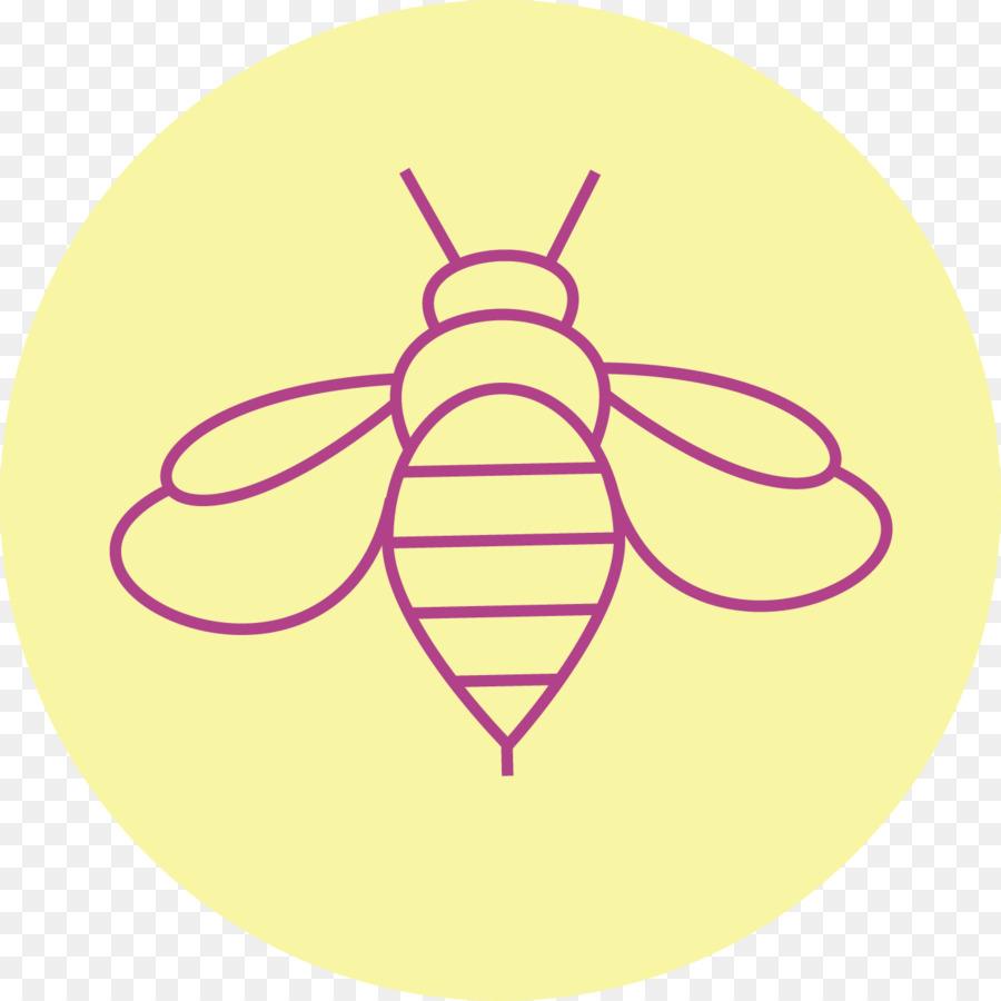 Insecto，Bicho PNG