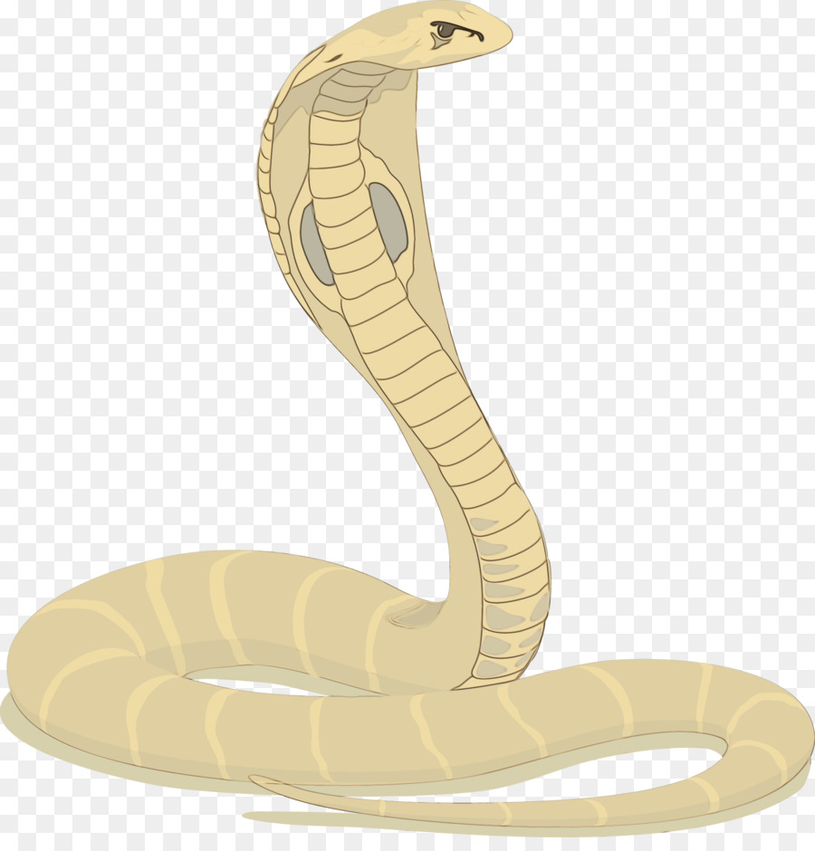 Cobra India，La Serpiente De Cascabel PNG