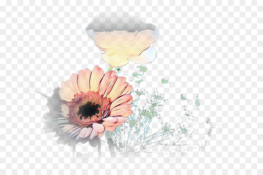 Transvaal Daisy，Diseño Floral PNG