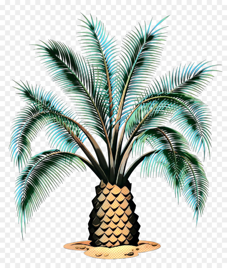 Palmera，Tropical PNG