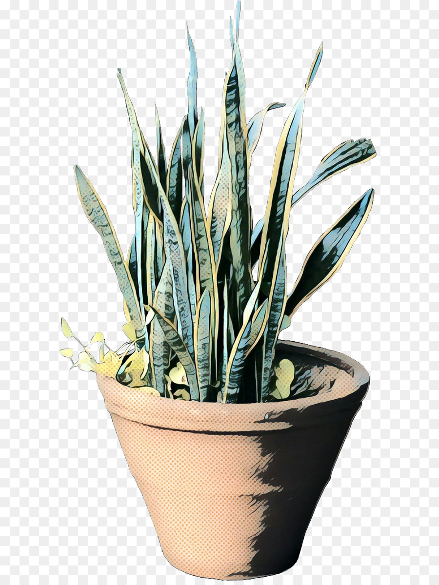 Planta De Interior，Maceta PNG