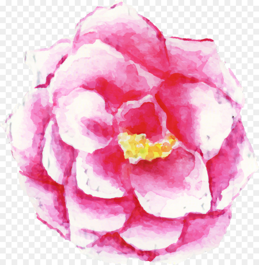 Pintura A La Acuarela，Rosa PNG