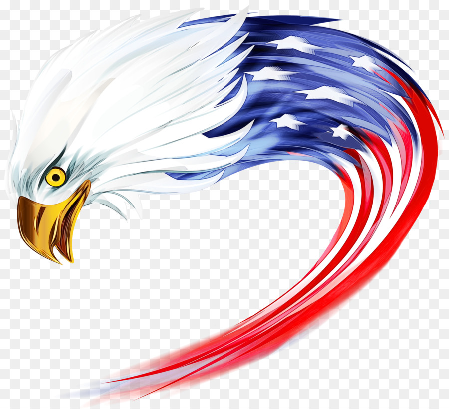 Estados Unidos，águila Calva PNG