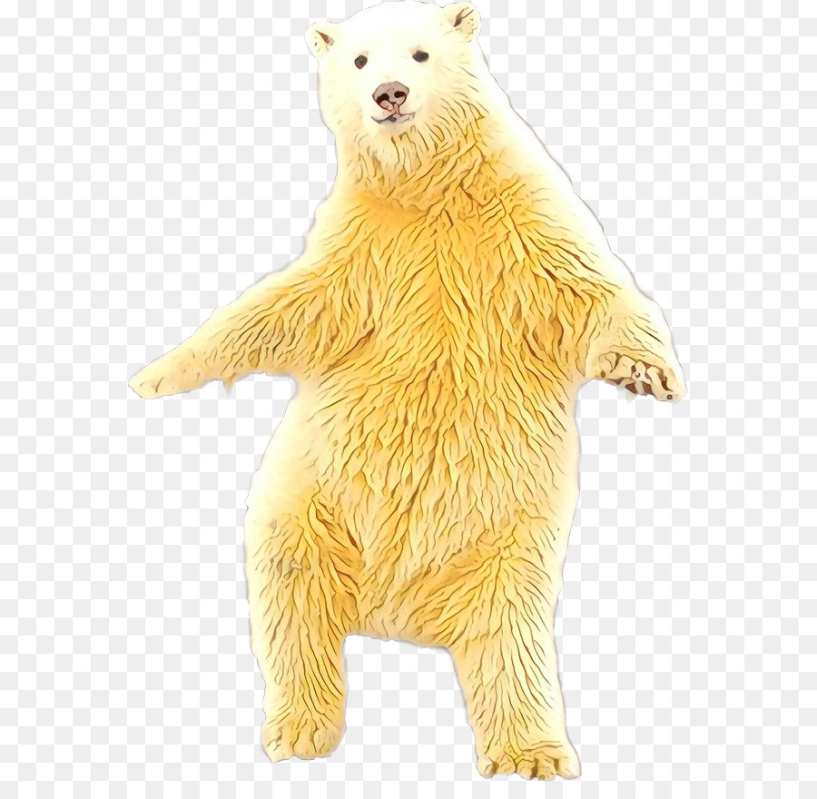 Oso Polar，Perro PNG