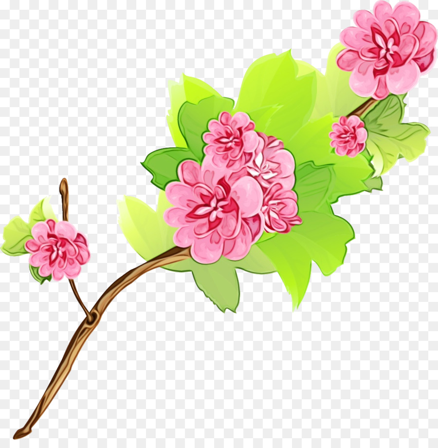 Diseño Floral，Familia De Las Rosas PNG