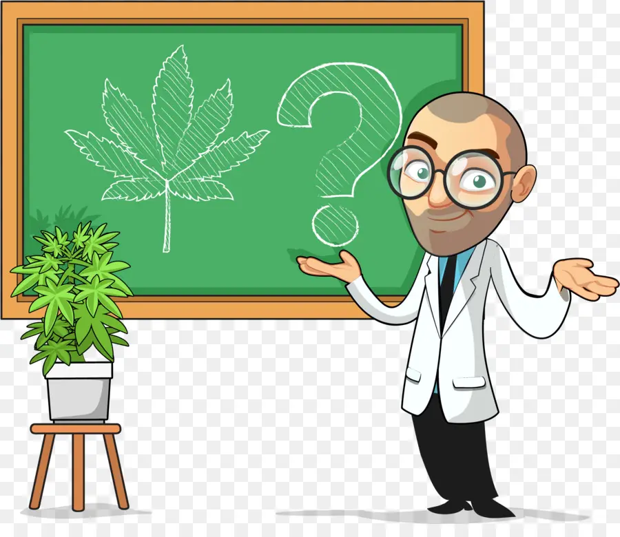 Científico Con Planta De Cannabis，Científico PNG