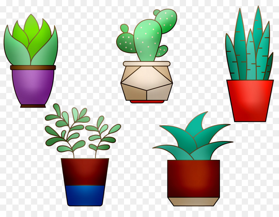 Maceta，Cactus PNG