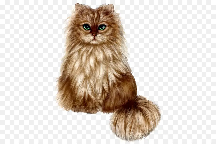 Gato Persa，Gatito PNG