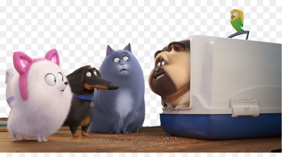 Gato，Hocico PNG