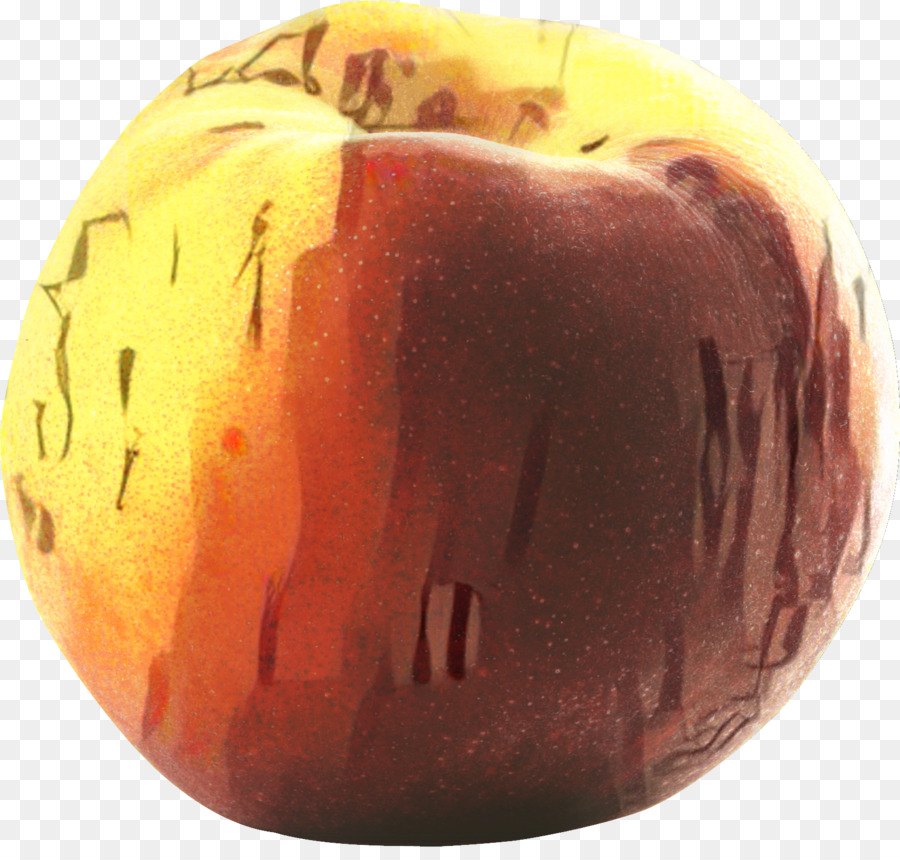 Calabaza De Invierno，Talla PNG