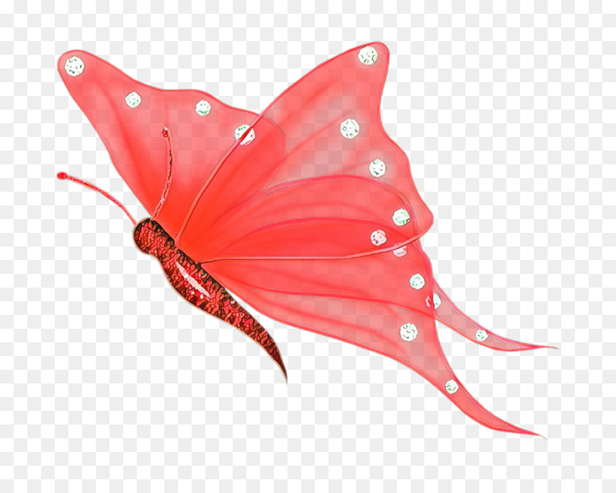 Mariposa，Los Insectos PNG