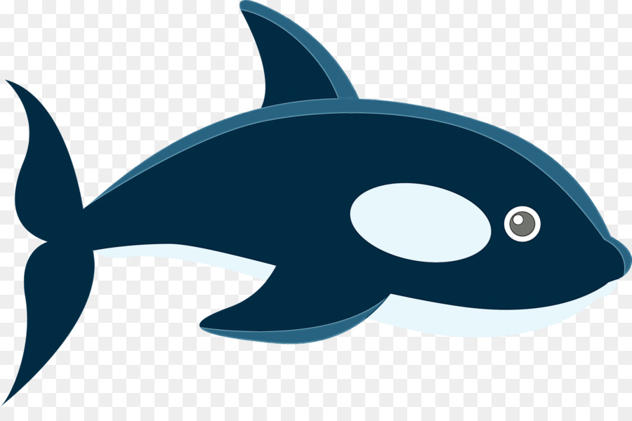 Ballena De Dibujos Animados，Marina PNG