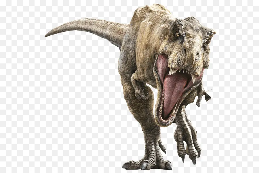 El Tyrannosaurus Rex，Jurassic Park PNG