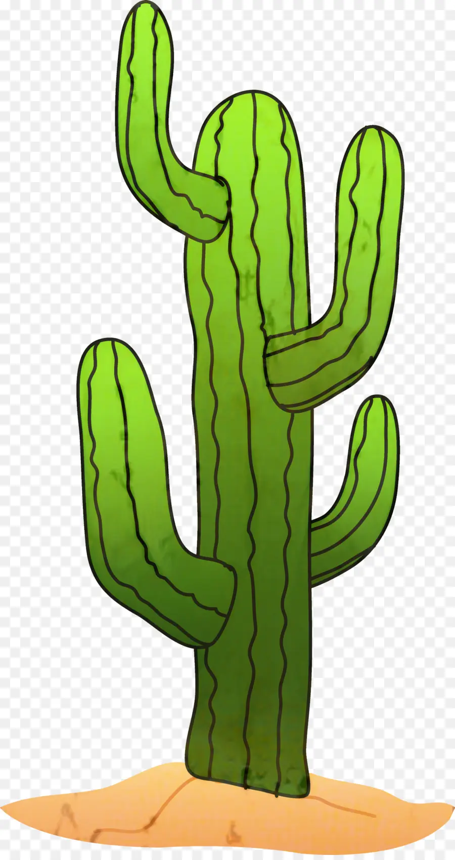 Cactus，Verde PNG