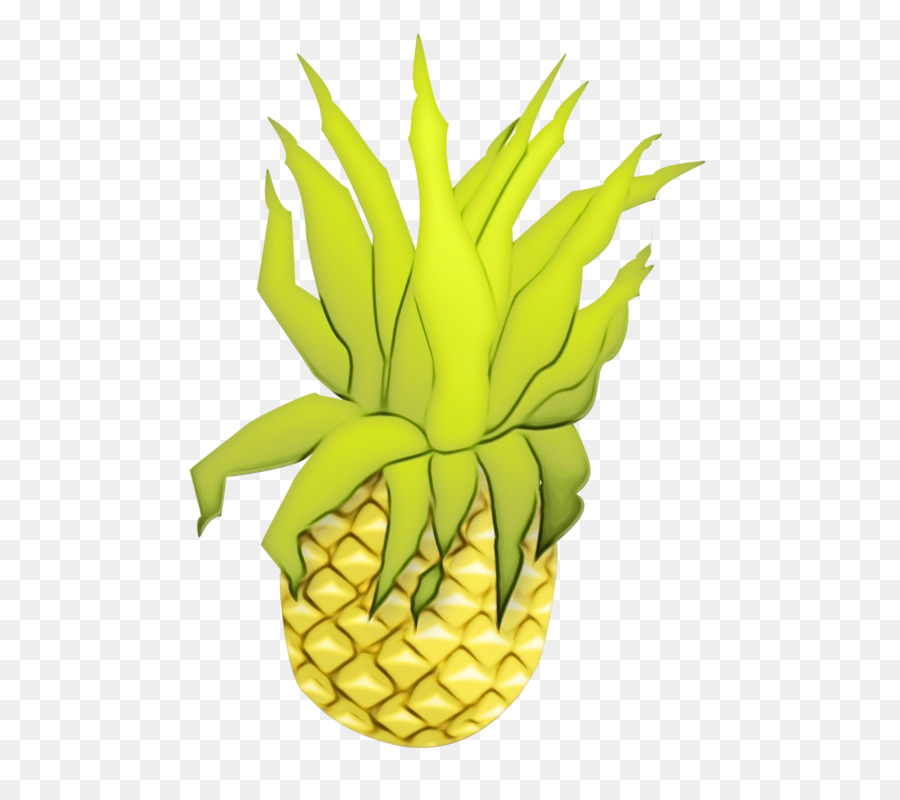 Piña，La Historieta PNG