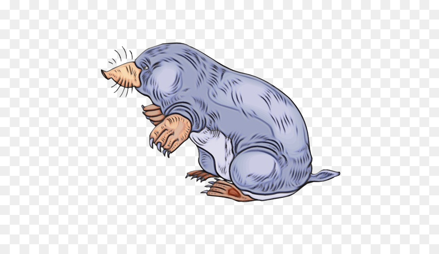 Moles，Istock PNG