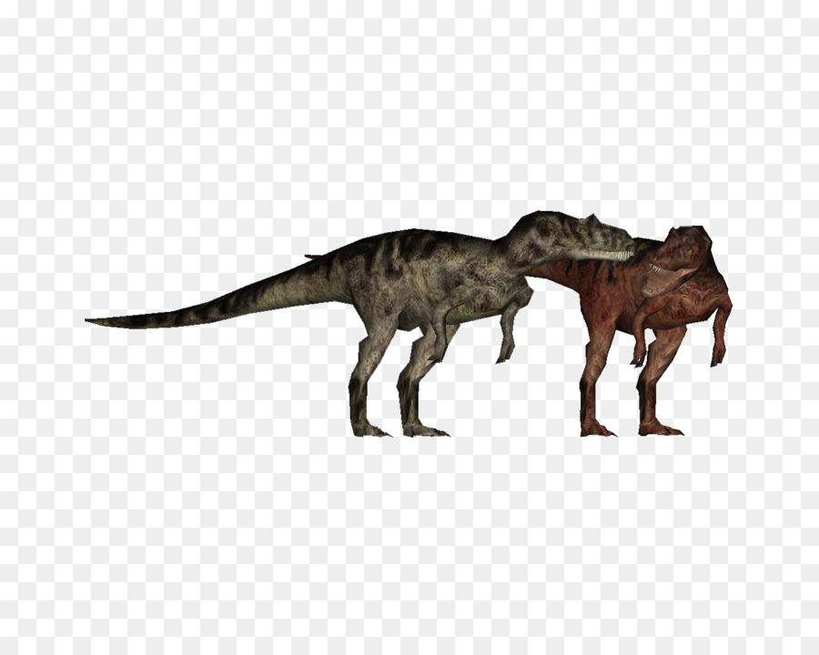 Allosaurus，El Tyrannosaurus Rex PNG