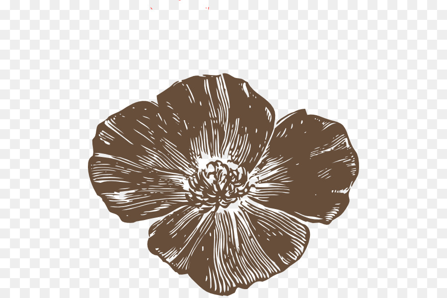 Flor Rosa，Florecer PNG