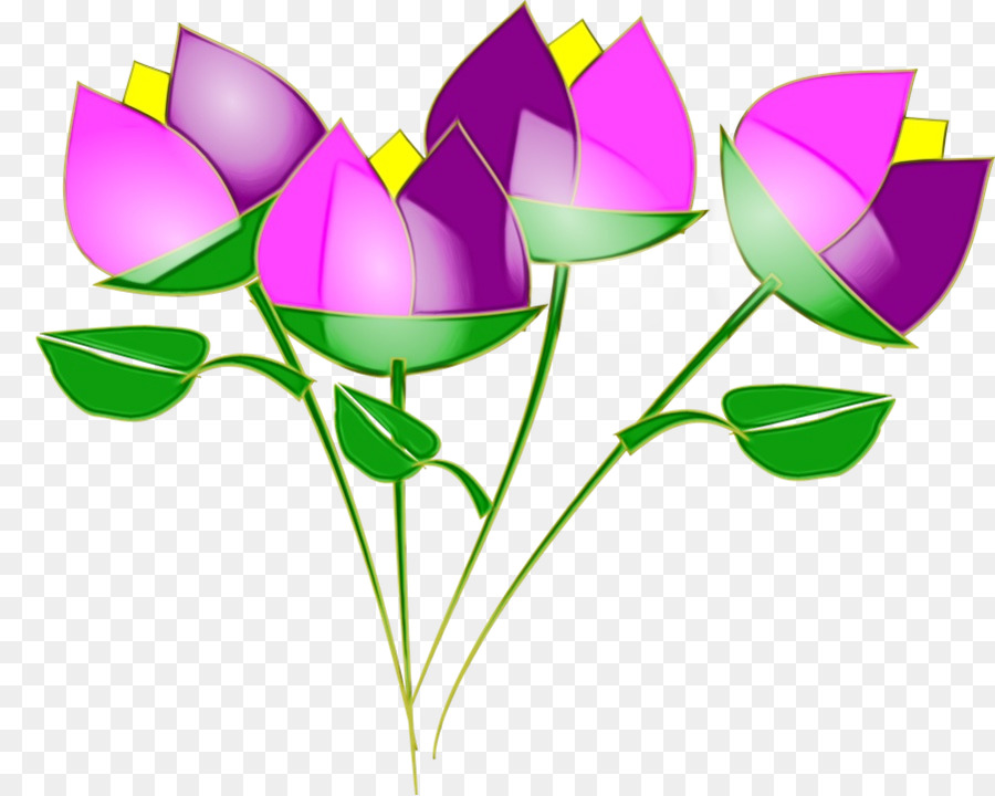 Flores Rosadas，Florecer PNG