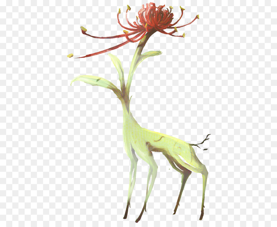 Flor Ciervo，Animal PNG