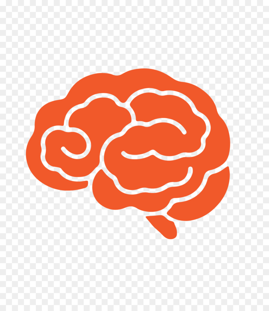 Cerebro Naranja，Cerebro PNG