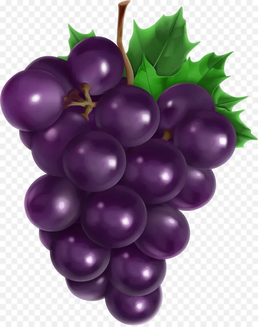 Uvas Moradas，Enredadera PNG