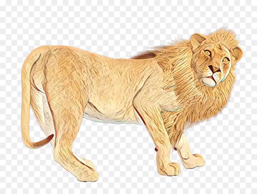 León，Gato PNG