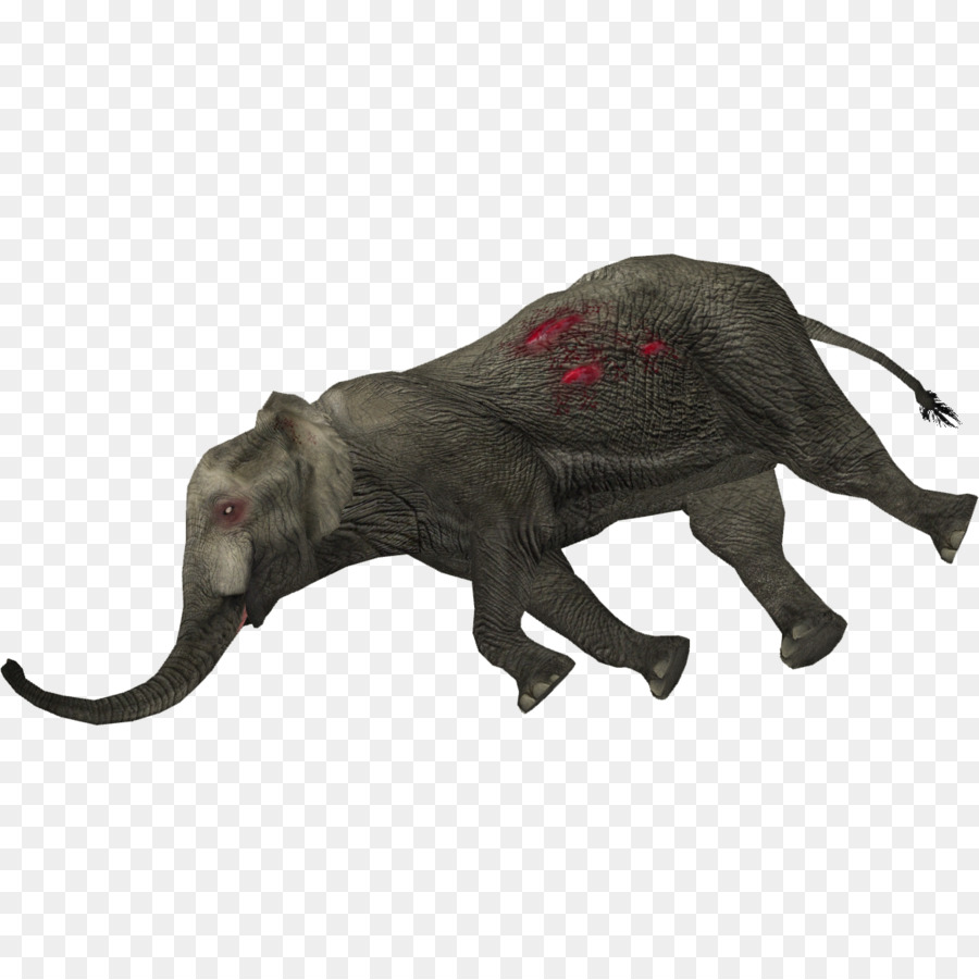 Elefante Indio，El Elefante Africano PNG