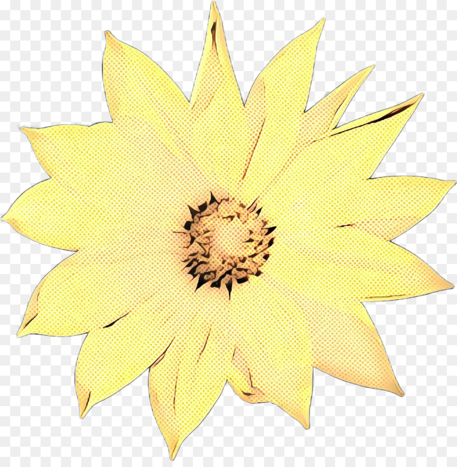 Común De Girasol，La Semilla De Girasol PNG