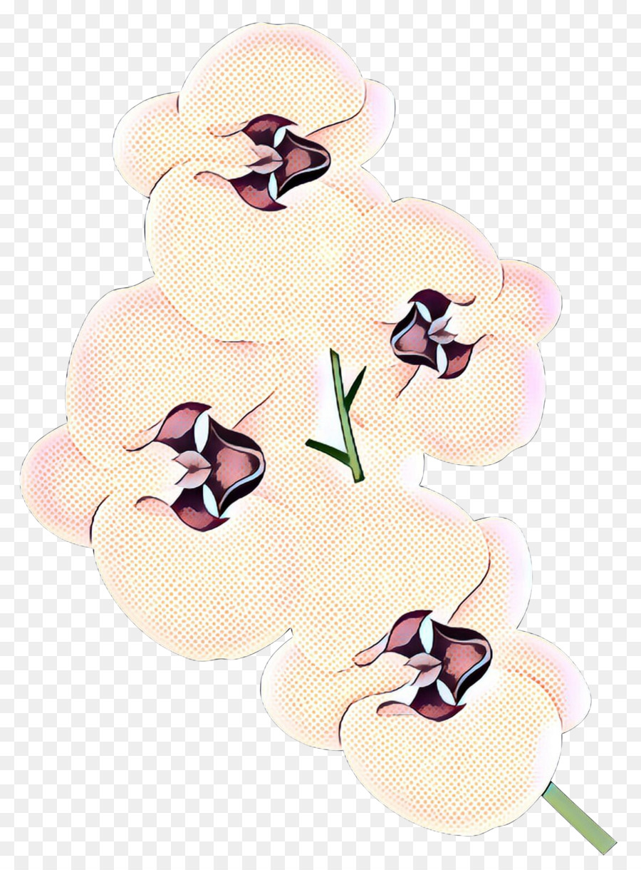 Las Orquídeas，La Polilla De Las Orquídeas PNG