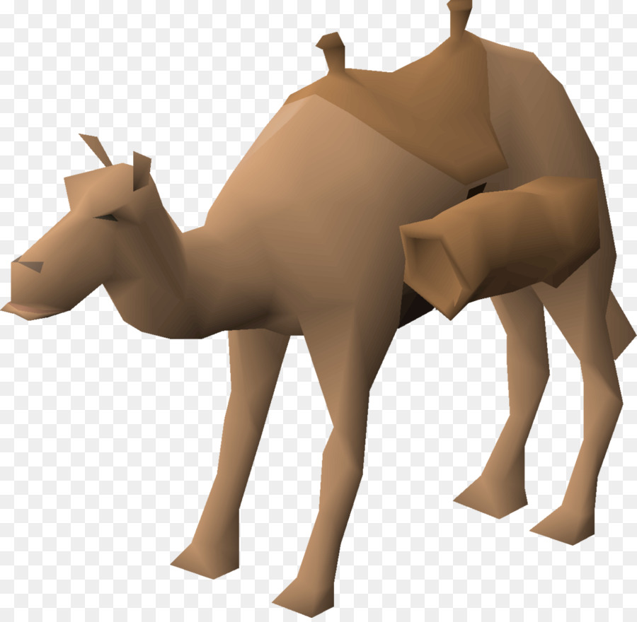 Dromedario，Caballo PNG