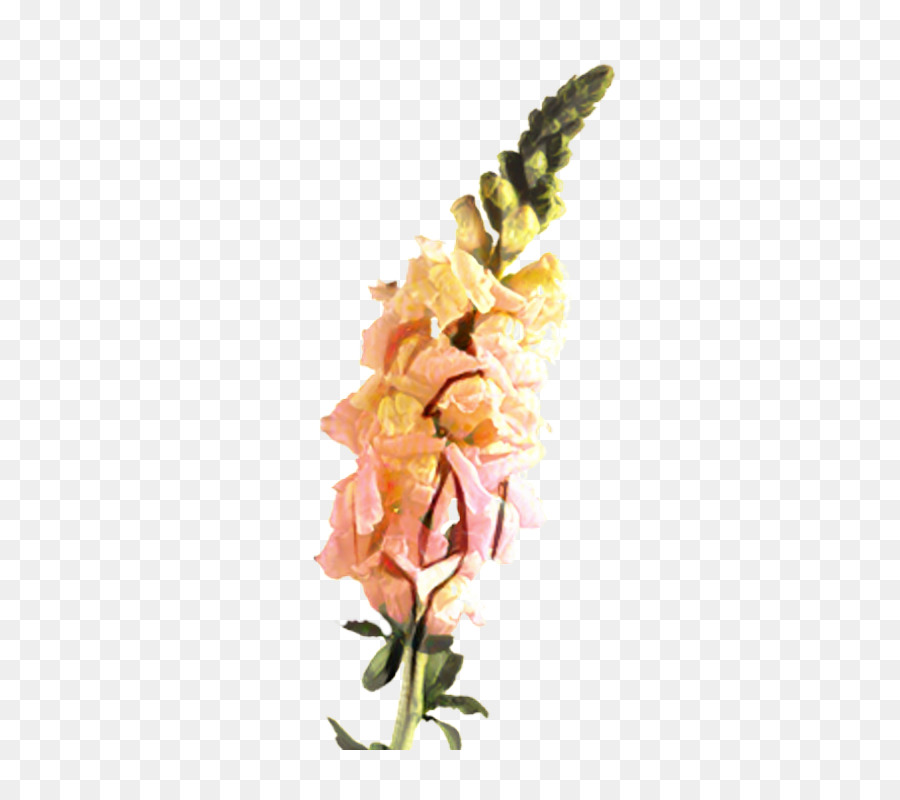 Diseño Floral，Las Flores Cortadas PNG