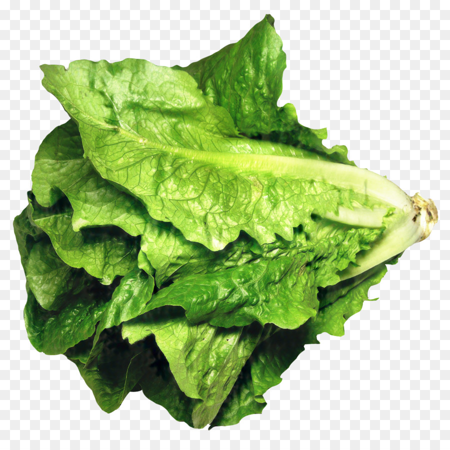 Lechuga Romana，Los Verdes PNG