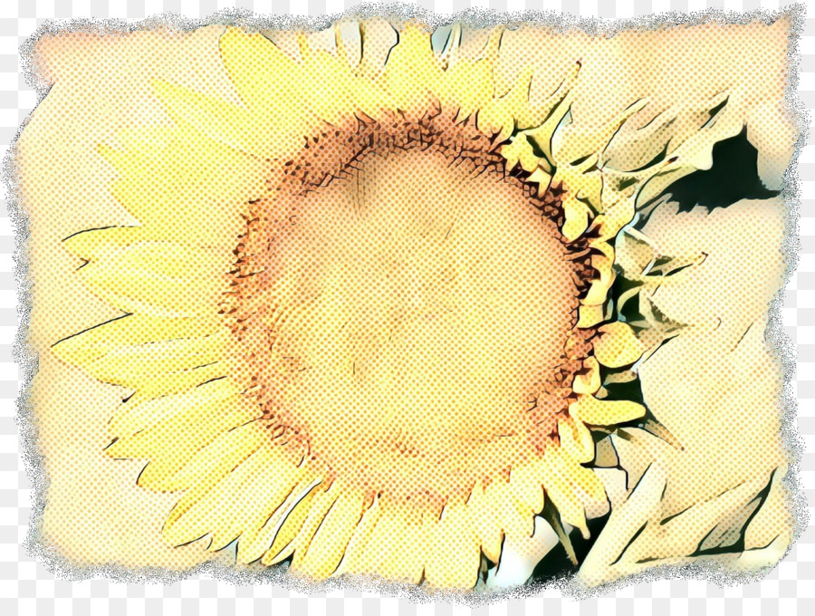 Amarillo，Girasol PNG