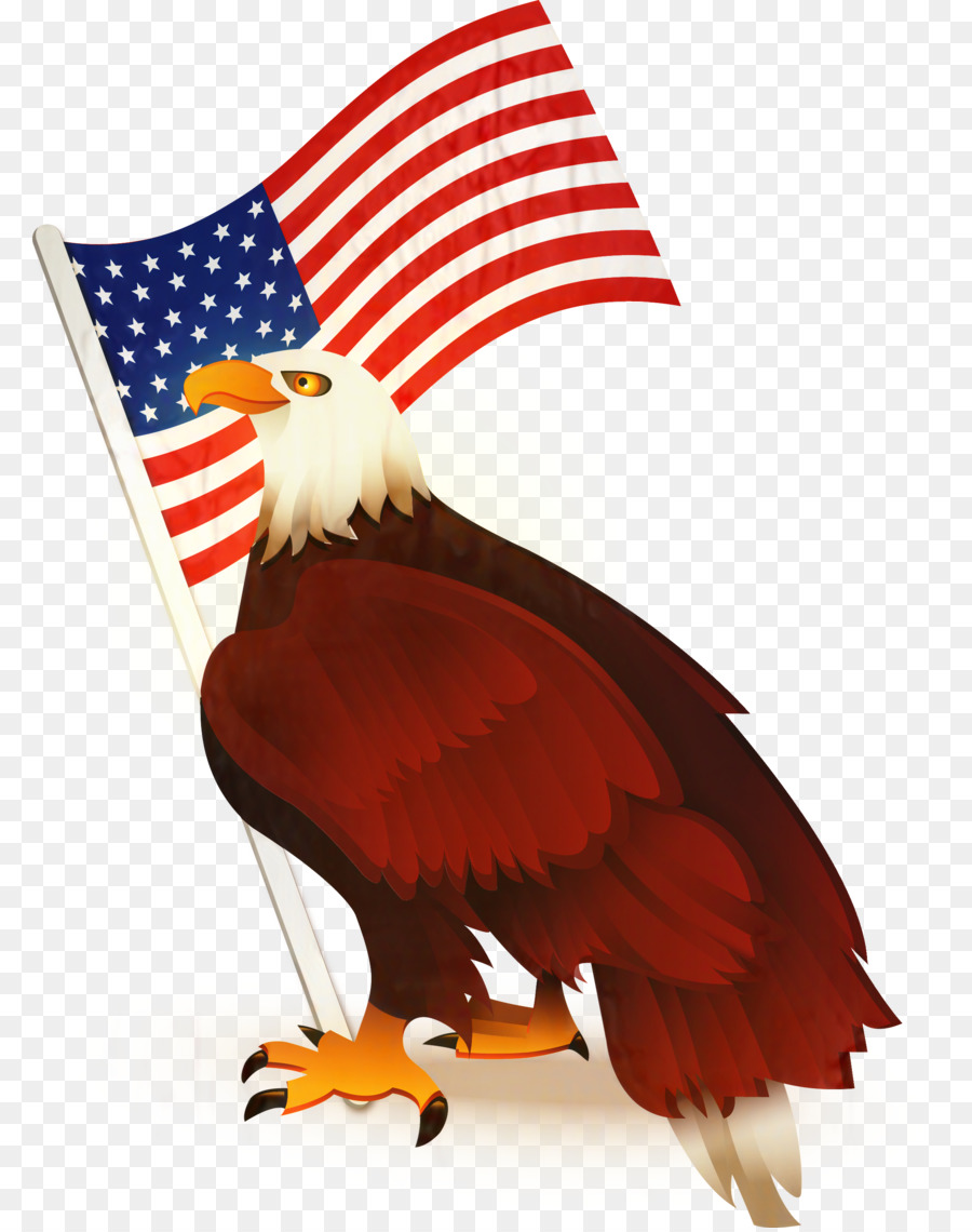 águila Calva，Estados Unidos PNG