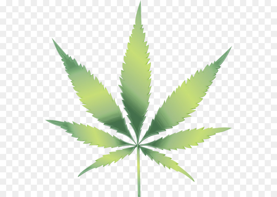 Hoja De Marihuana，Canabis PNG