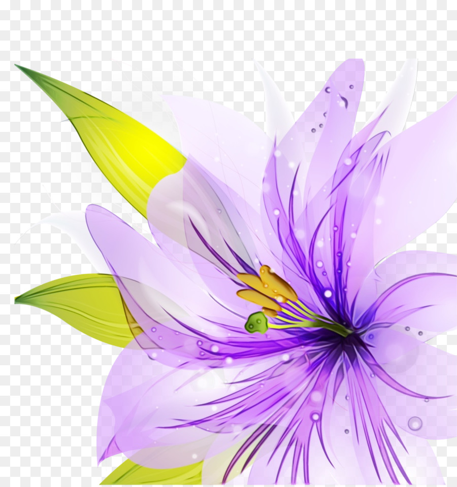 Diseño Floral，Lily PNG