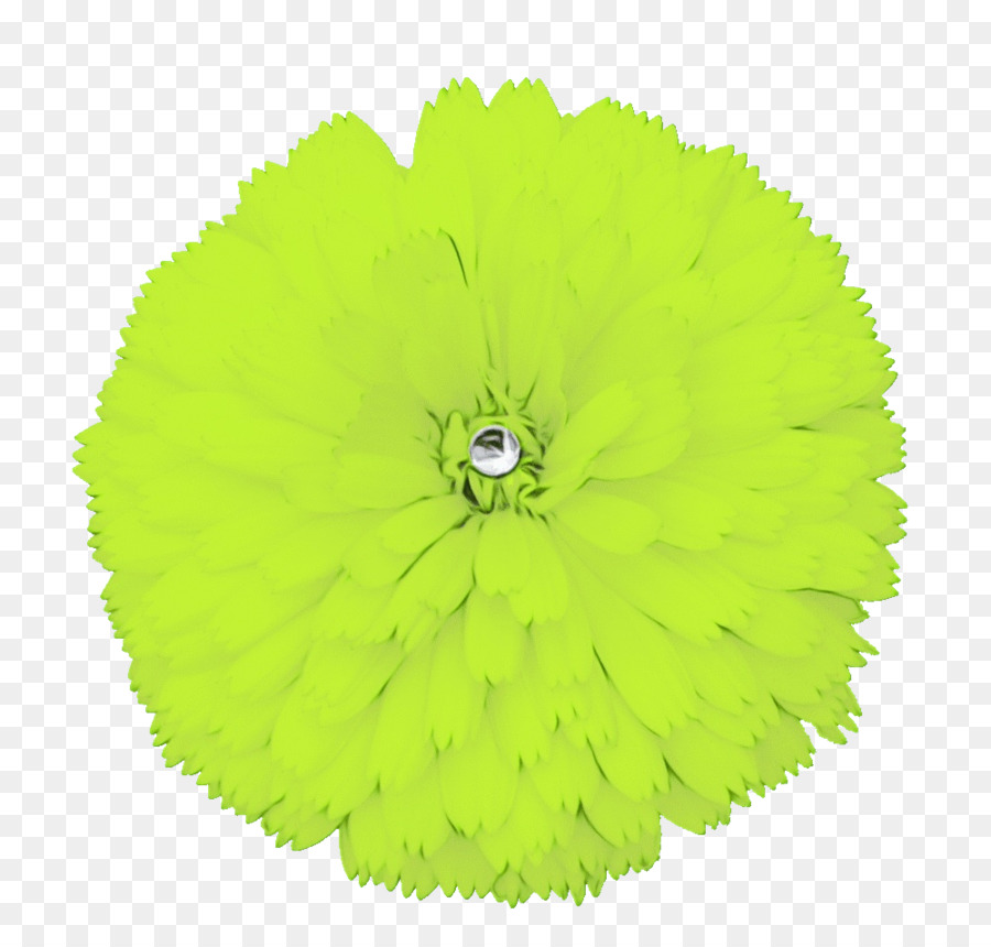 Flor，Verde PNG