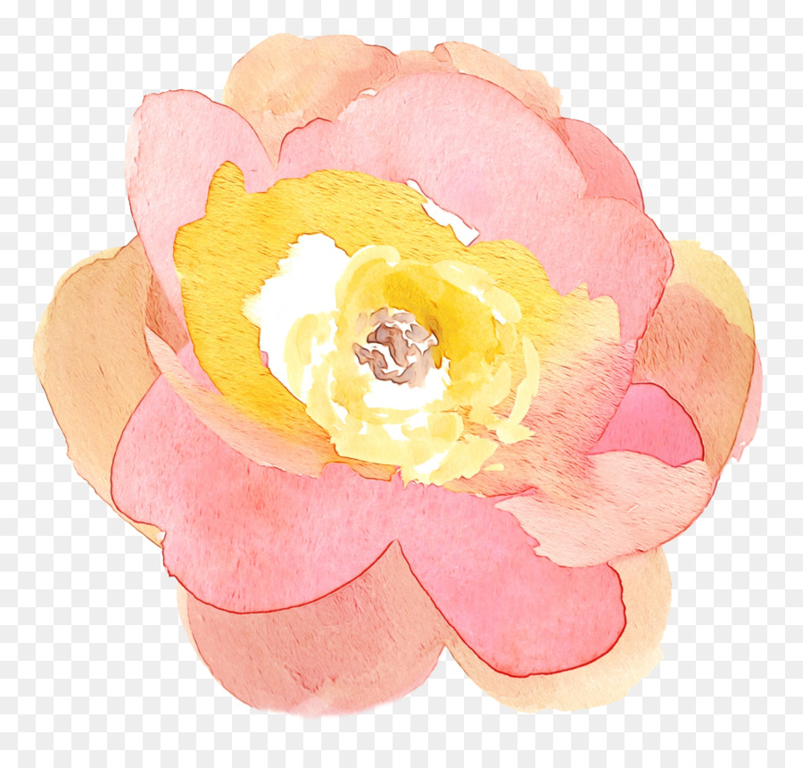 Flor，Florecer PNG