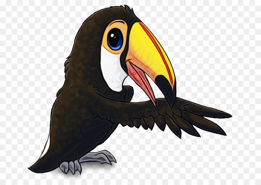 Tucán，Aves PNG