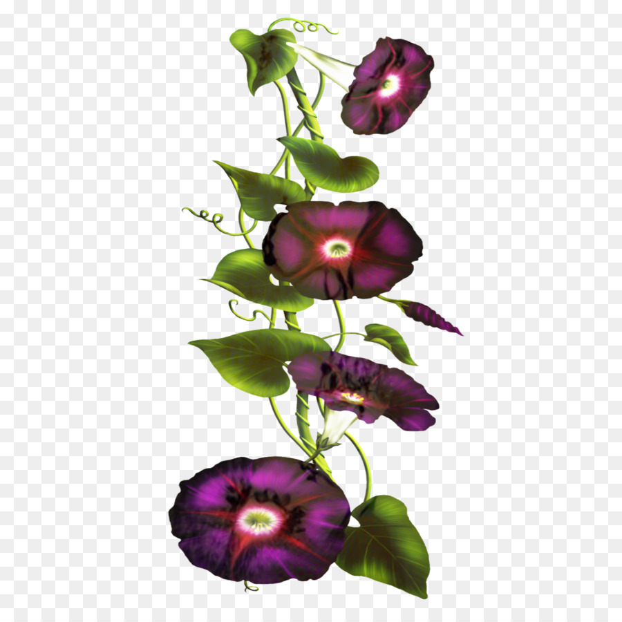 Flores Moradas，Botánico PNG