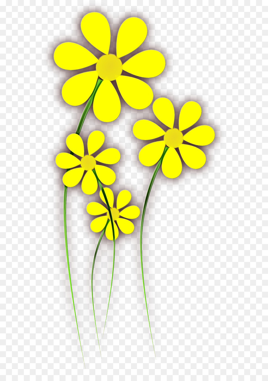 Flor，Dibujo PNG