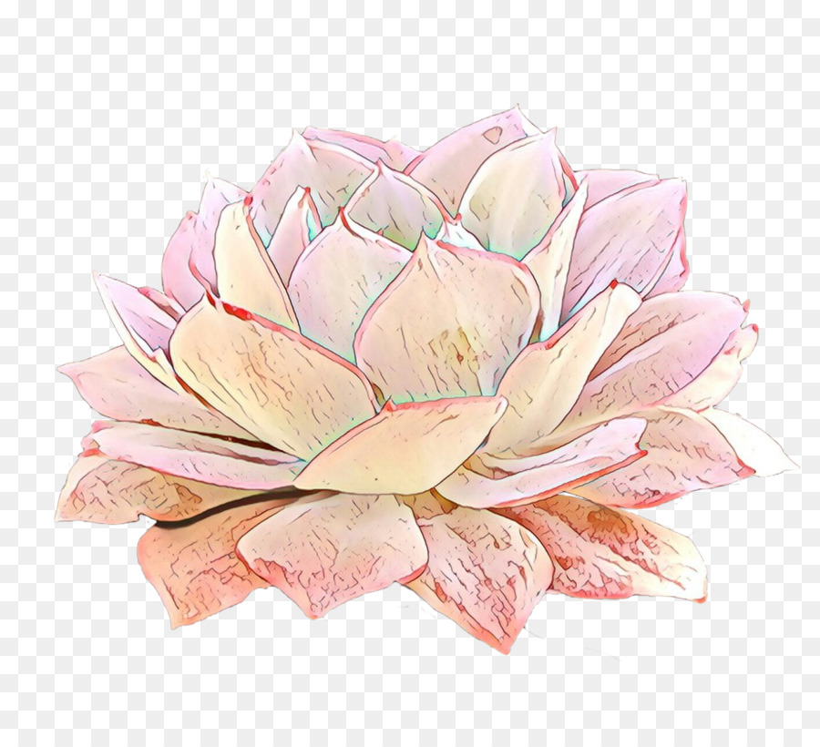 Diseño Floral，Rosa PNG