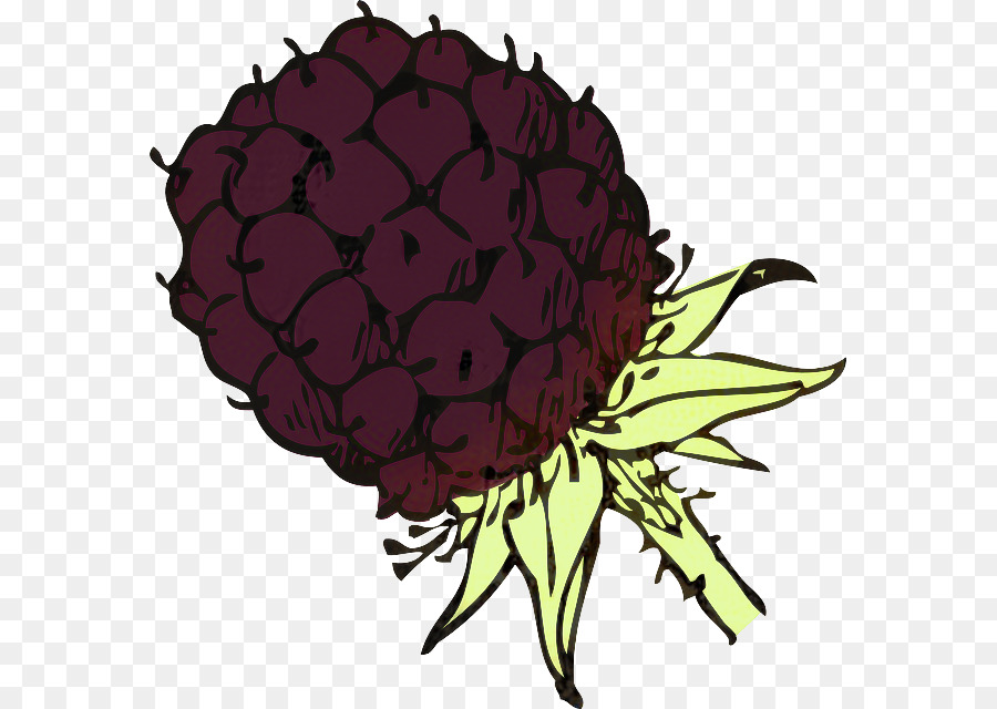 Blackberry，Blackberry Guiso PNG