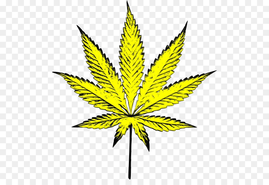 El Cannabis，Tallo De La Planta PNG