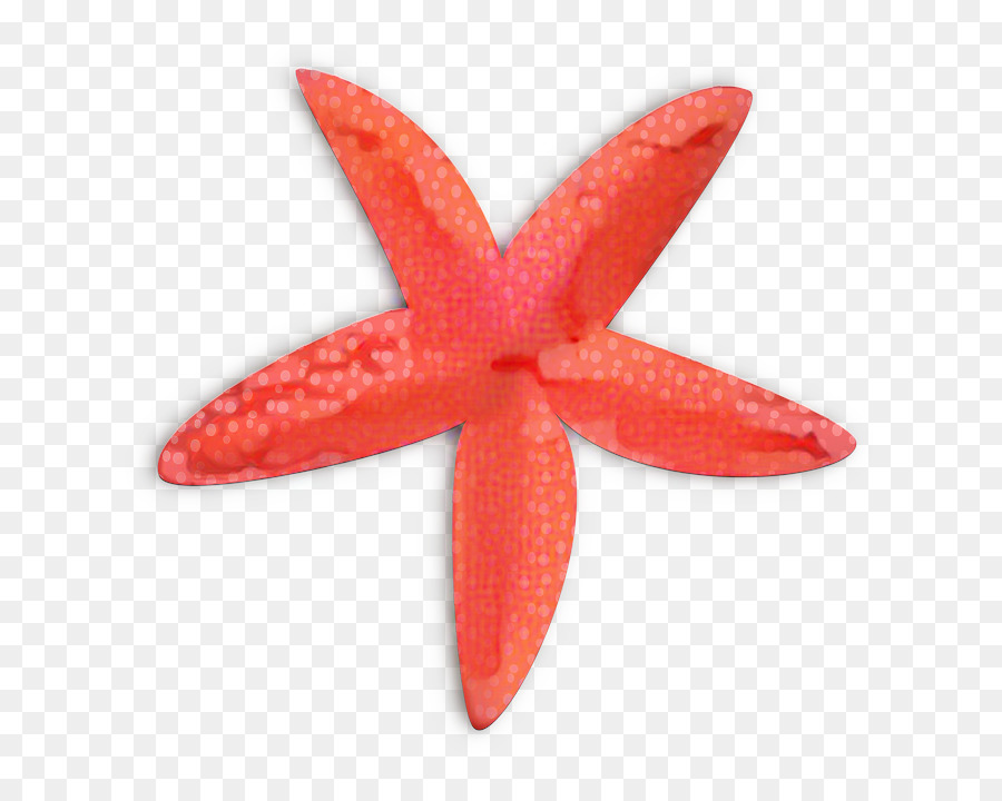 Estrella De Mar，Rojo PNG