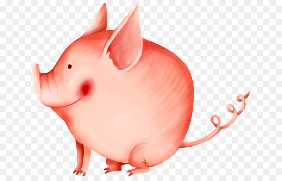 Rata，Cerdo Doméstico PNG